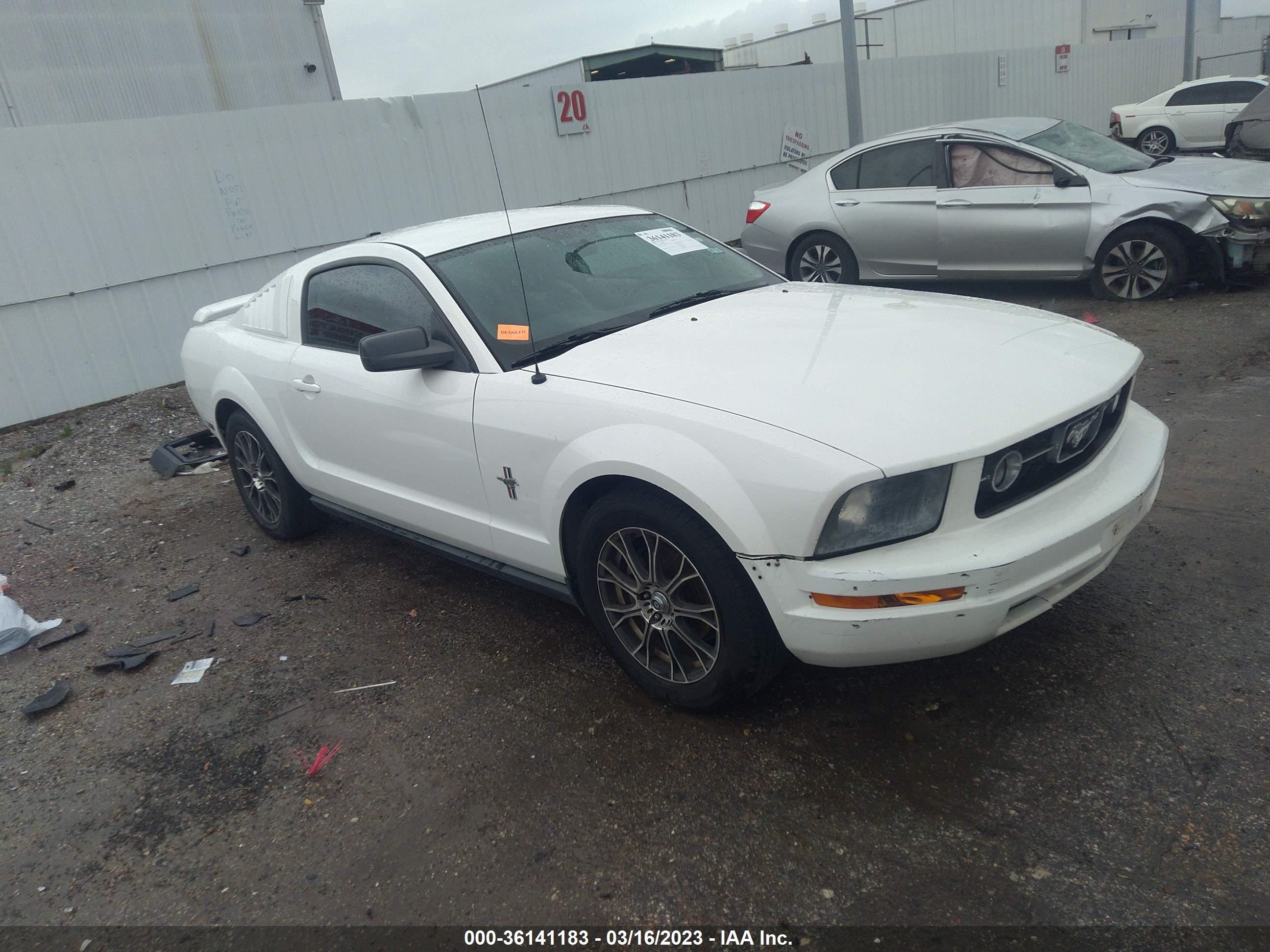 ford mustang 2006 1zvft80n165251310