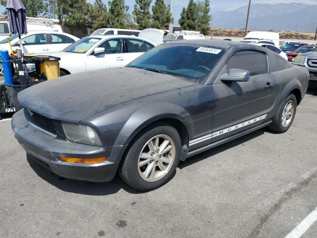 ford mustang 2007 1zvft80n175281831