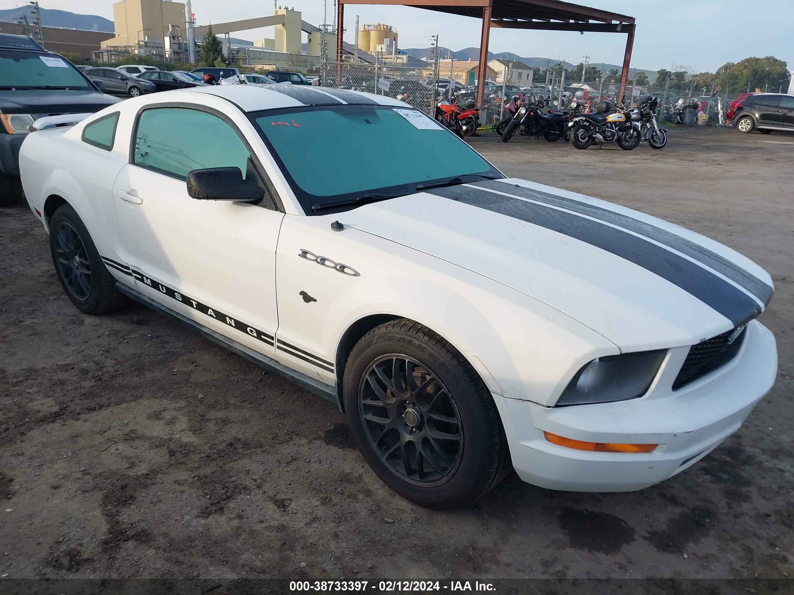 ford mustang 2005 1zvft80n255143552