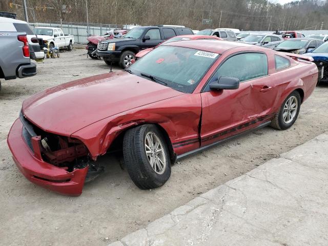 ford mustang 2005 1zvft80n255143759