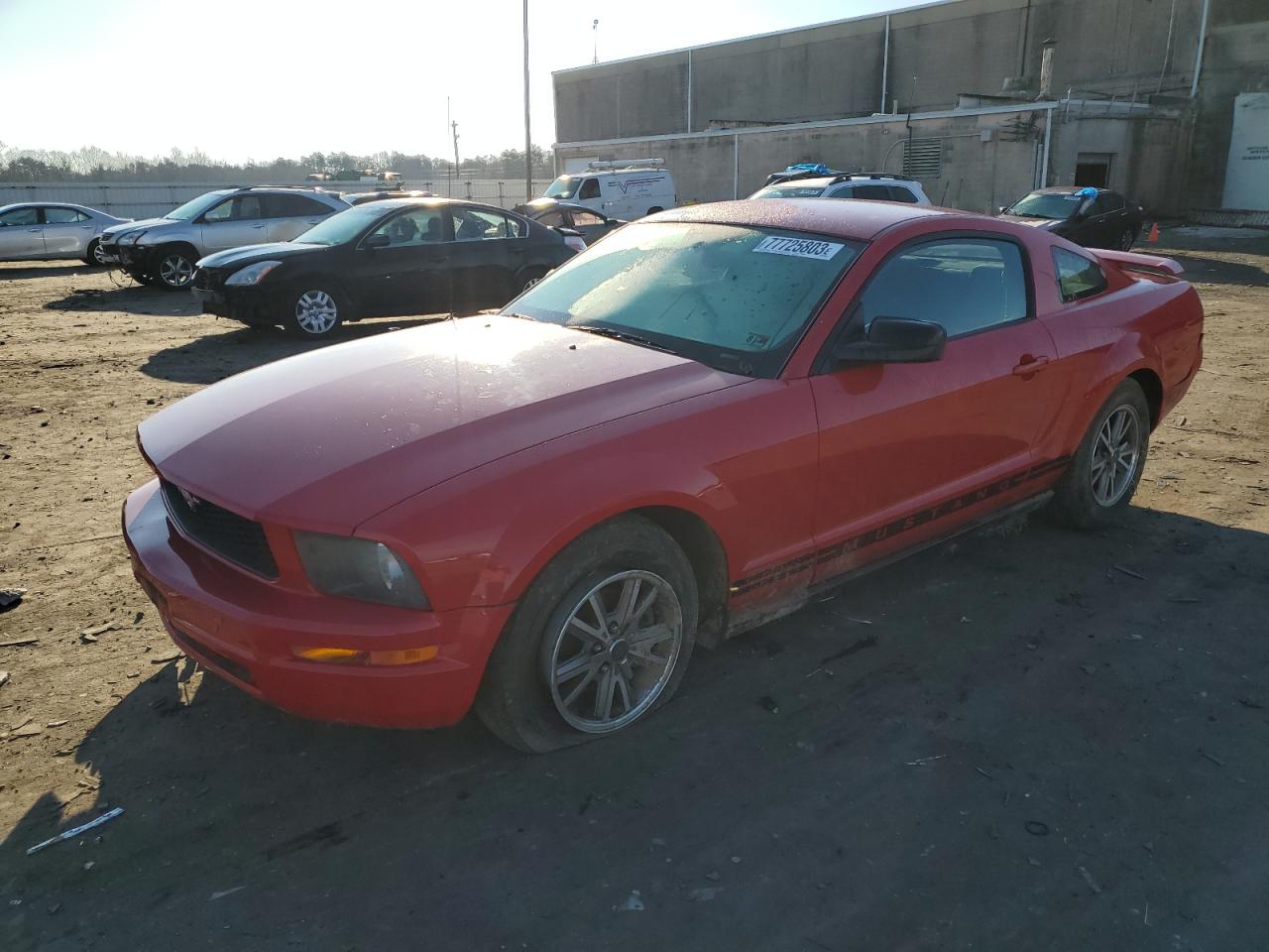 ford mustang 2005 1zvft80n255233719