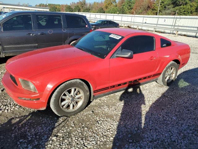 ford mustang 2006 1zvft80n265117616