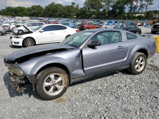 ford mustang 2006 1zvft80n265136490