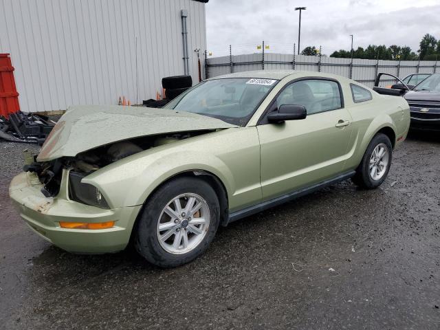 ford mustang 2006 1zvft80n265170333