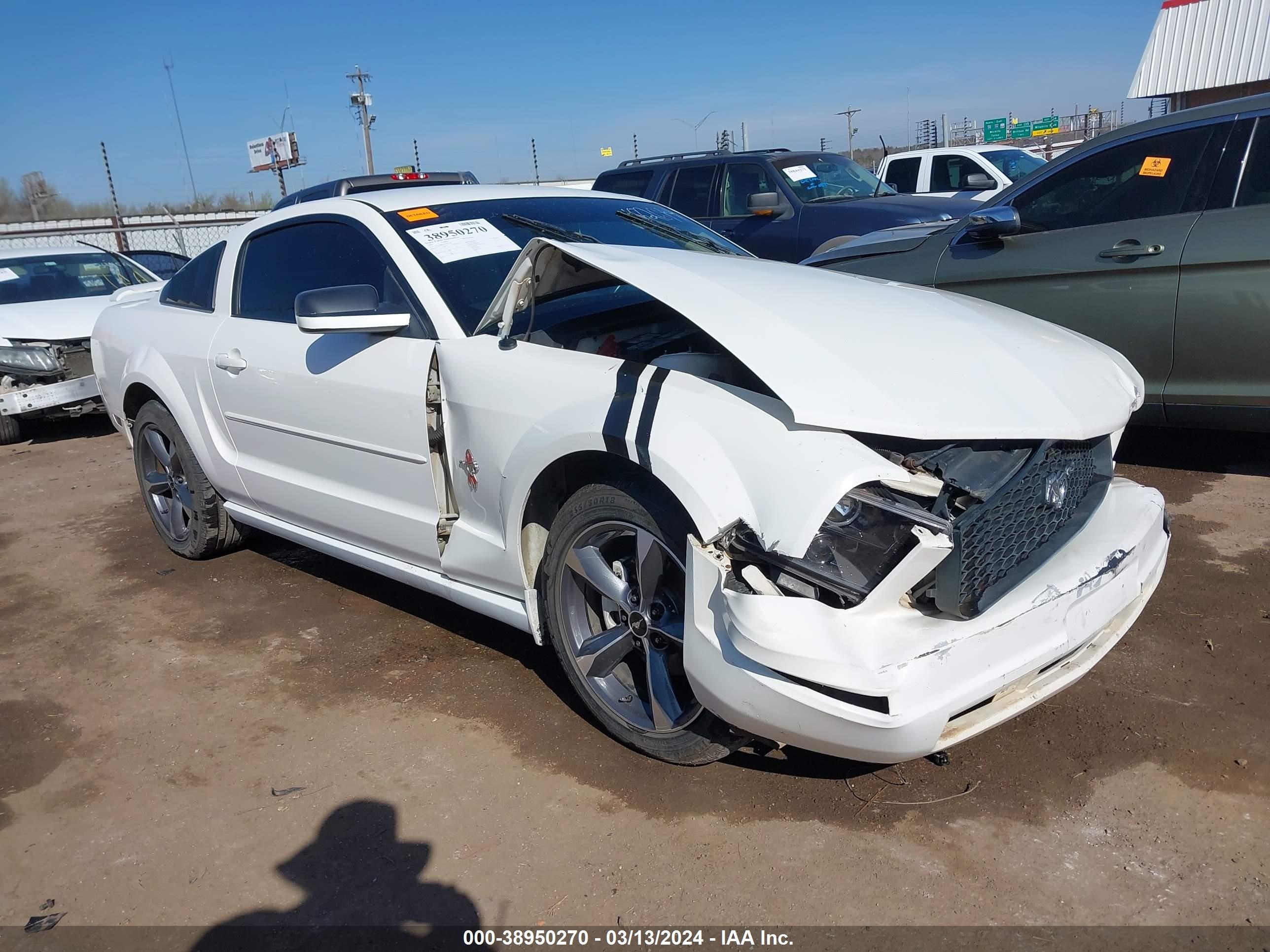 ford mustang 2006 1zvft80n265182644