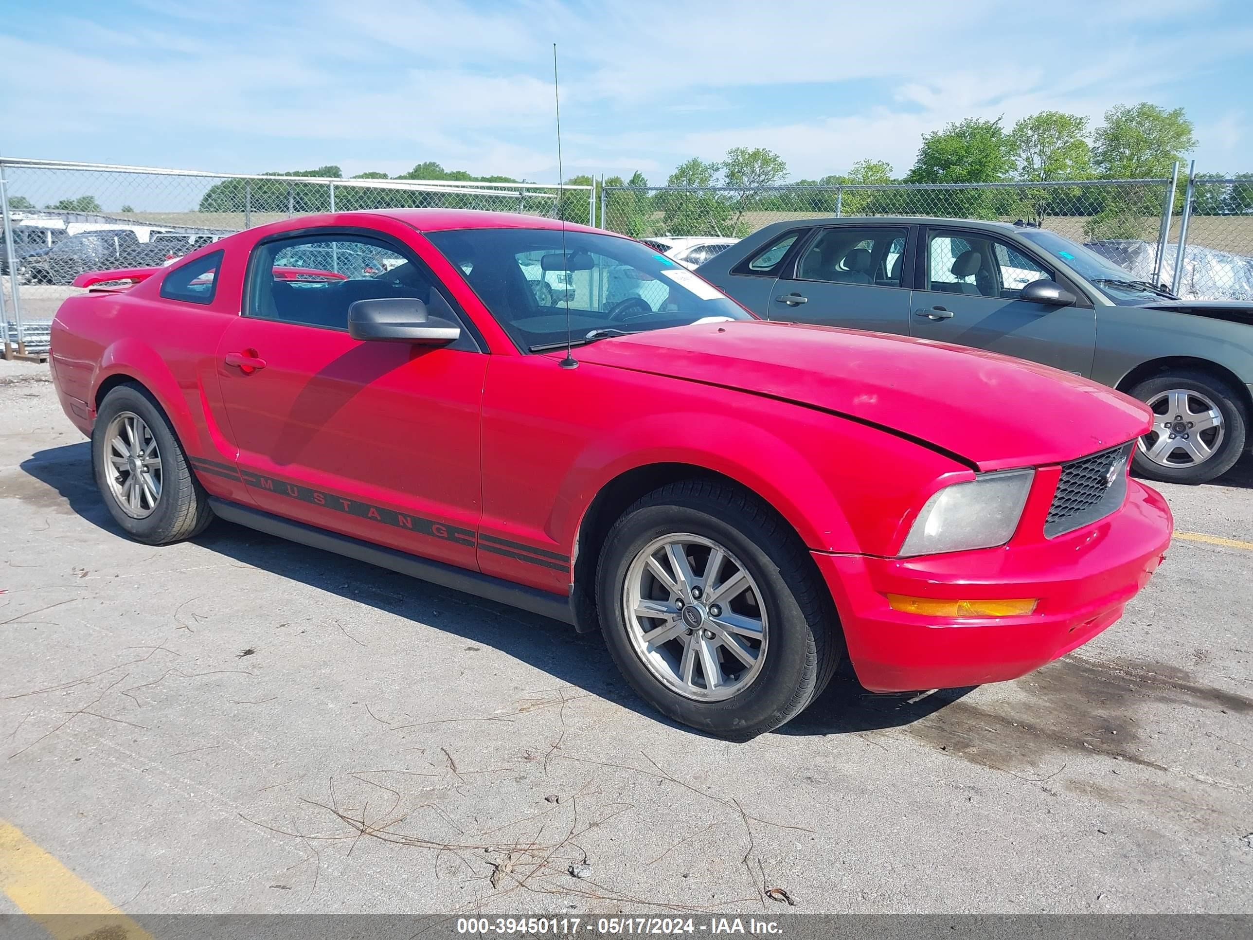 ford mustang 2006 1zvft80n265214752