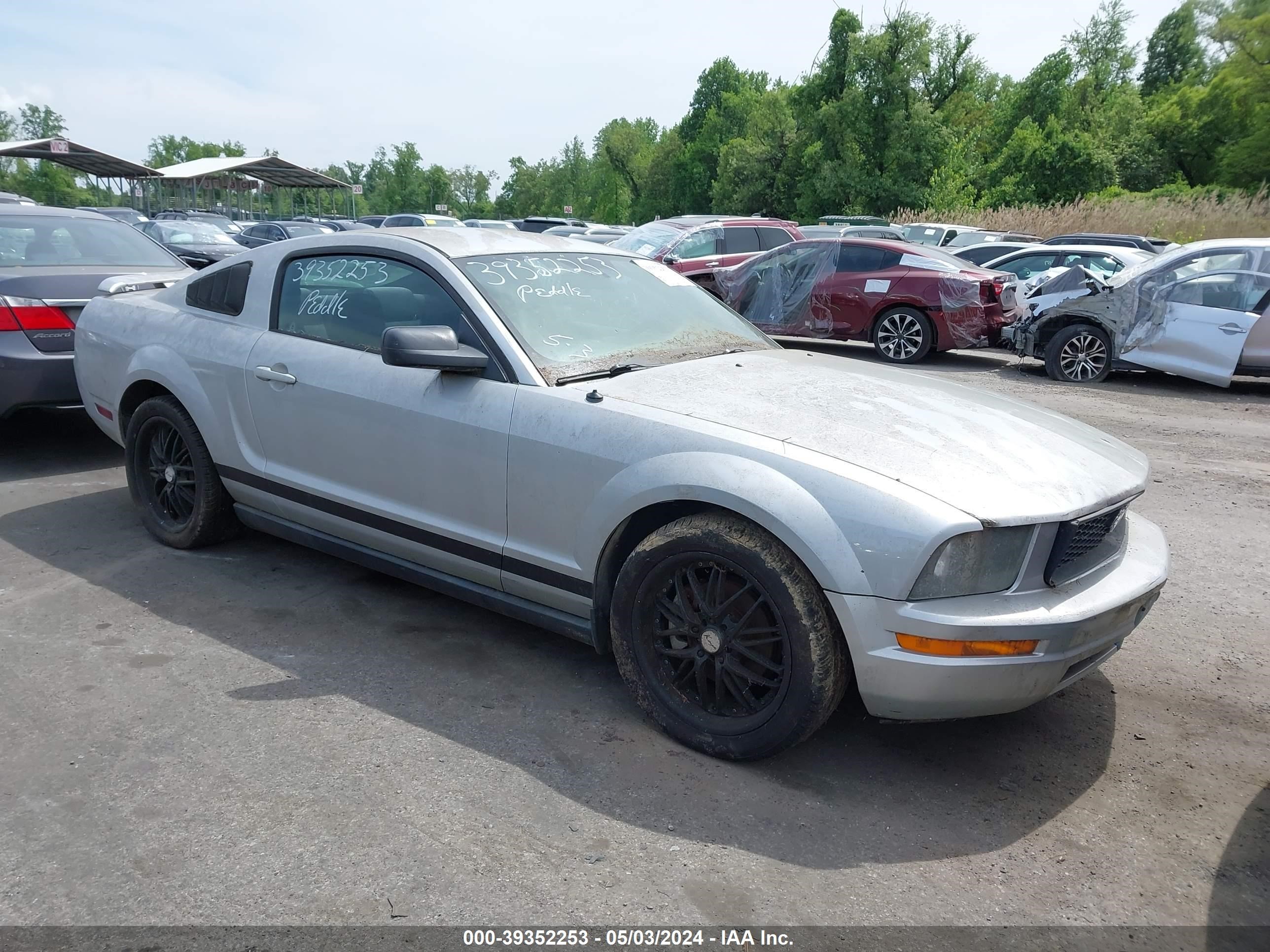 ford mustang 2005 1zvft80n355128249