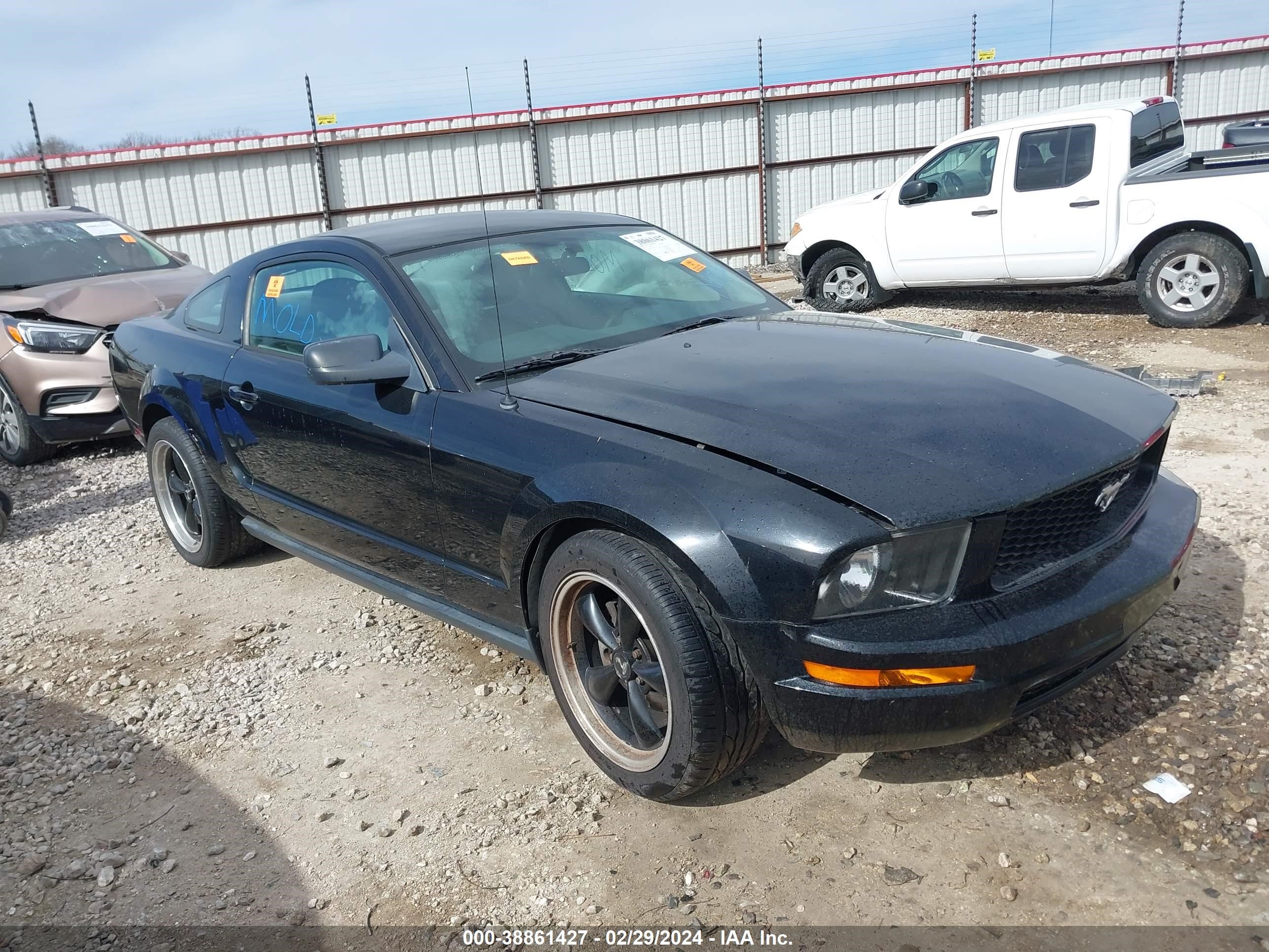 ford mustang 2005 1zvft80n355132656