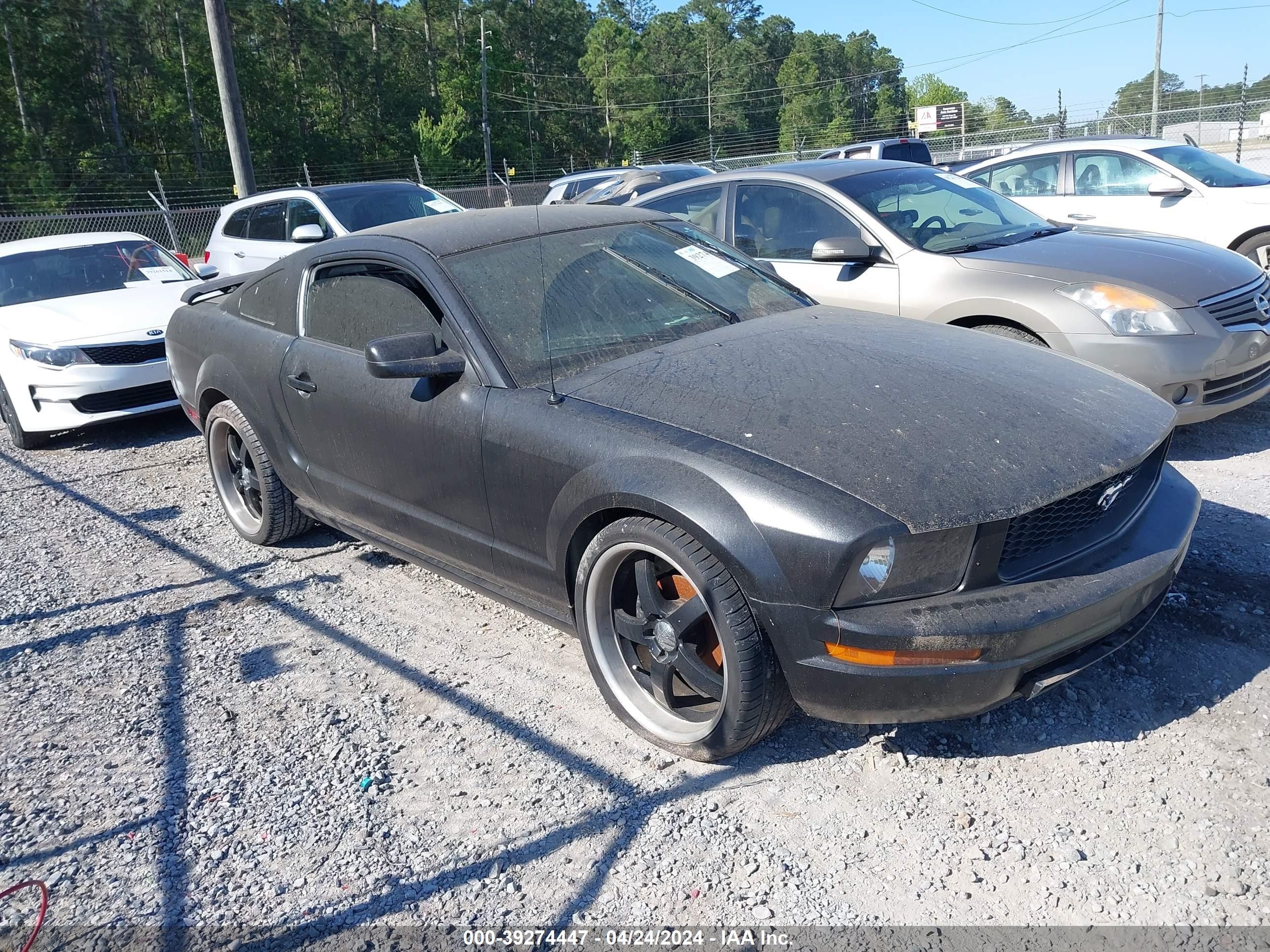 ford mustang 2005 1zvft80n355141647