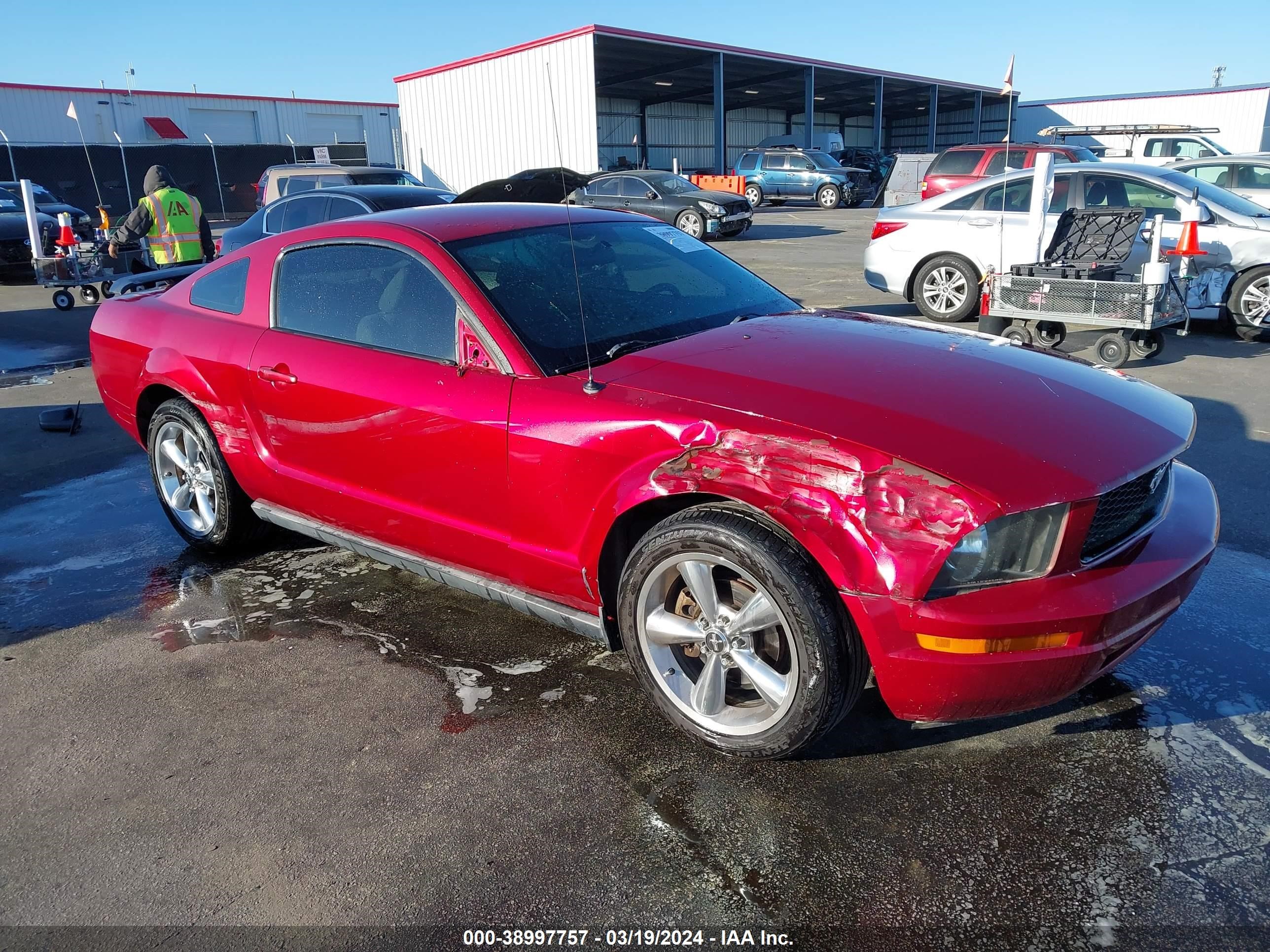 ford mustang 2005 1zvft80n355165947
