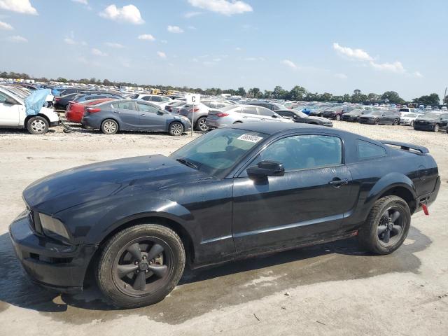 ford mustang 2005 1zvft80n355177855