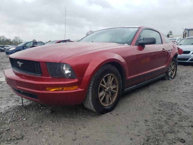 ford mustang 2005 1zvft80n355223488