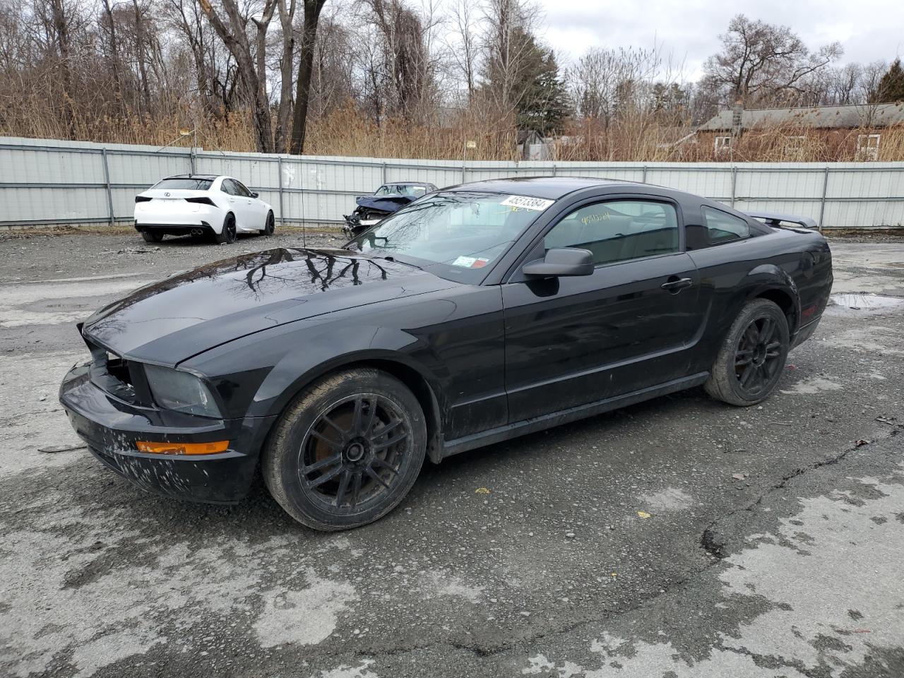 ford mustang 2005 1zvft80n355236600