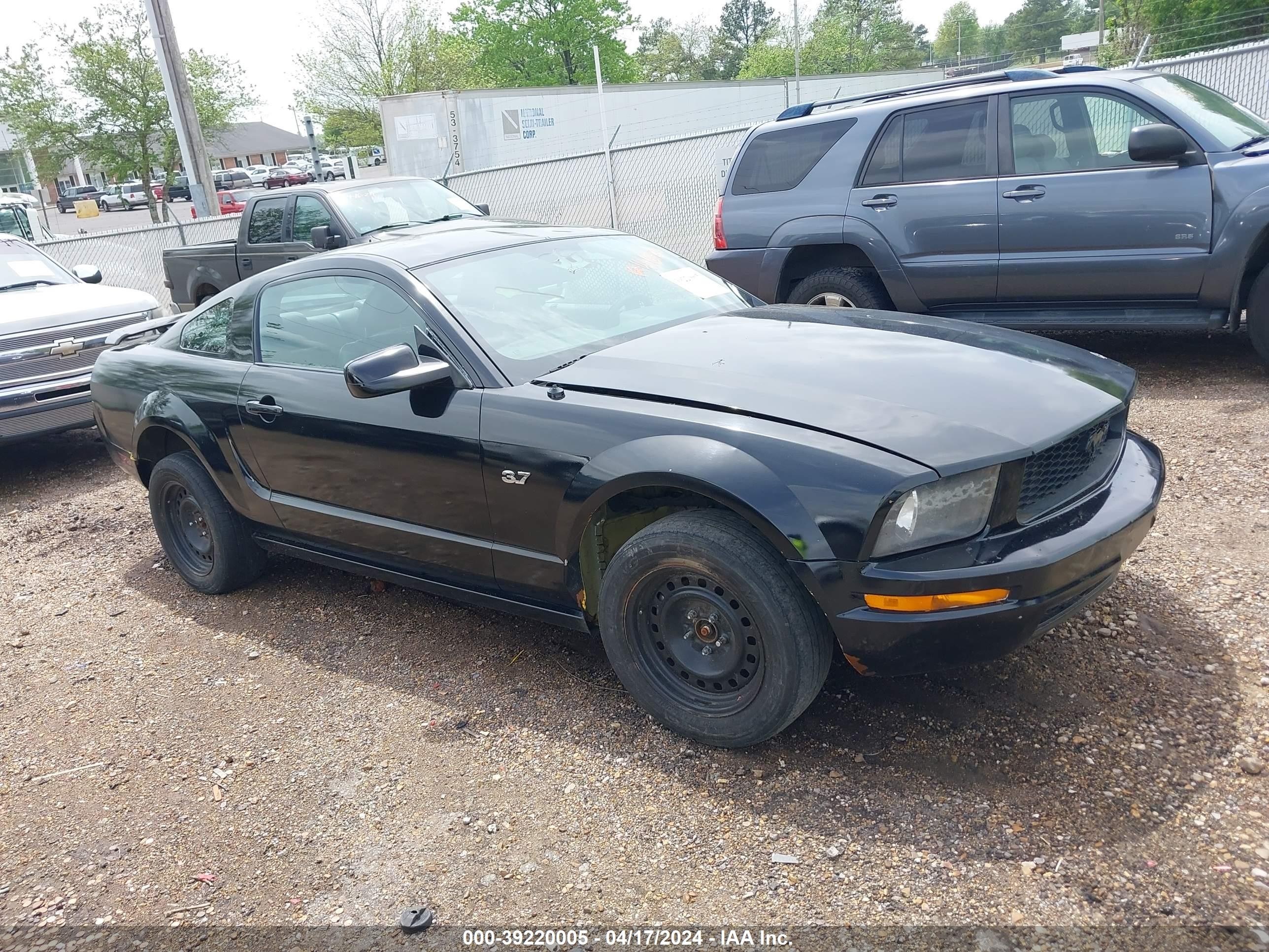 ford mustang 2005 1zvft80n355250271