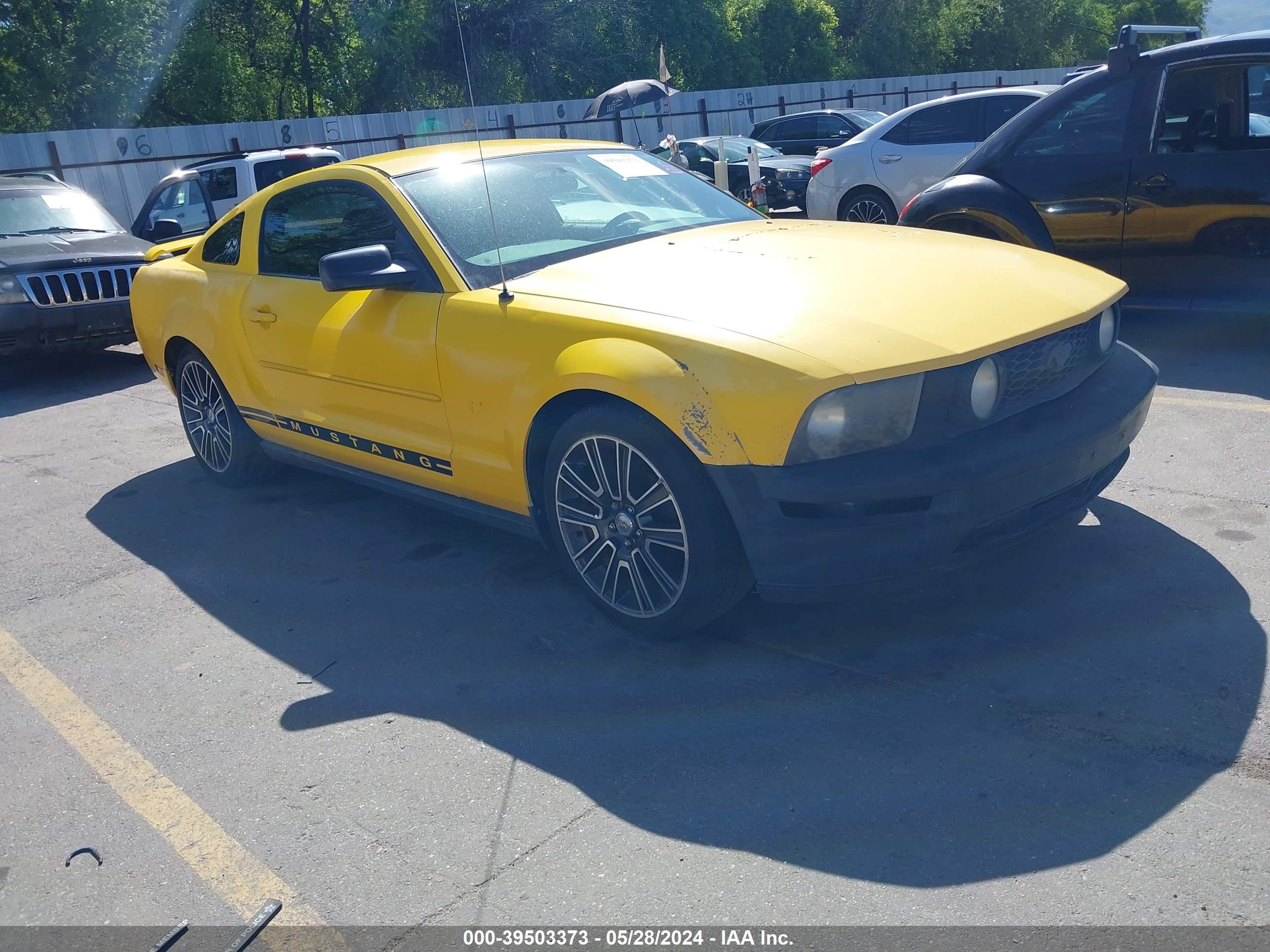 ford mustang 2006 1zvft80n365148079