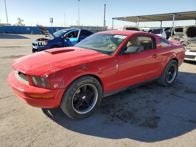 ford mustang 2006 1zvft80n365161382