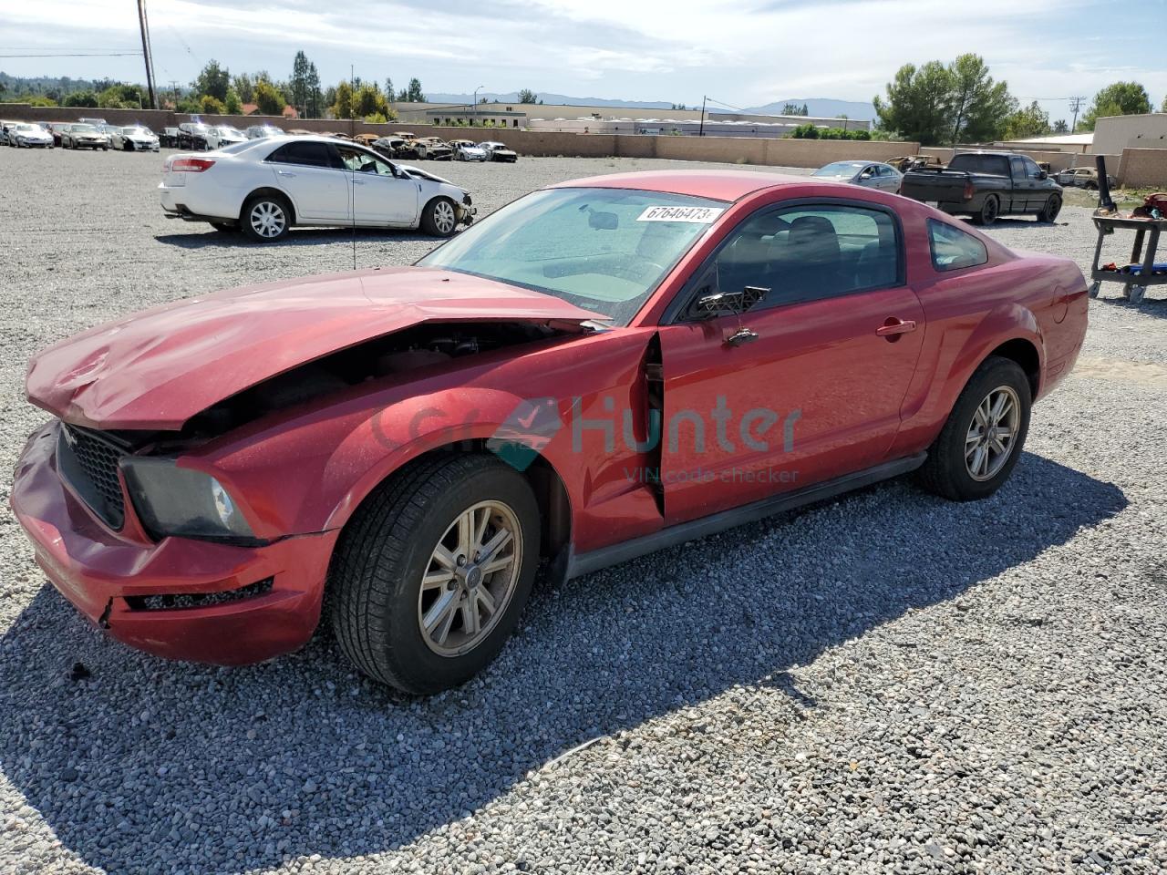 ford mustang 2006 1zvft80n365162273