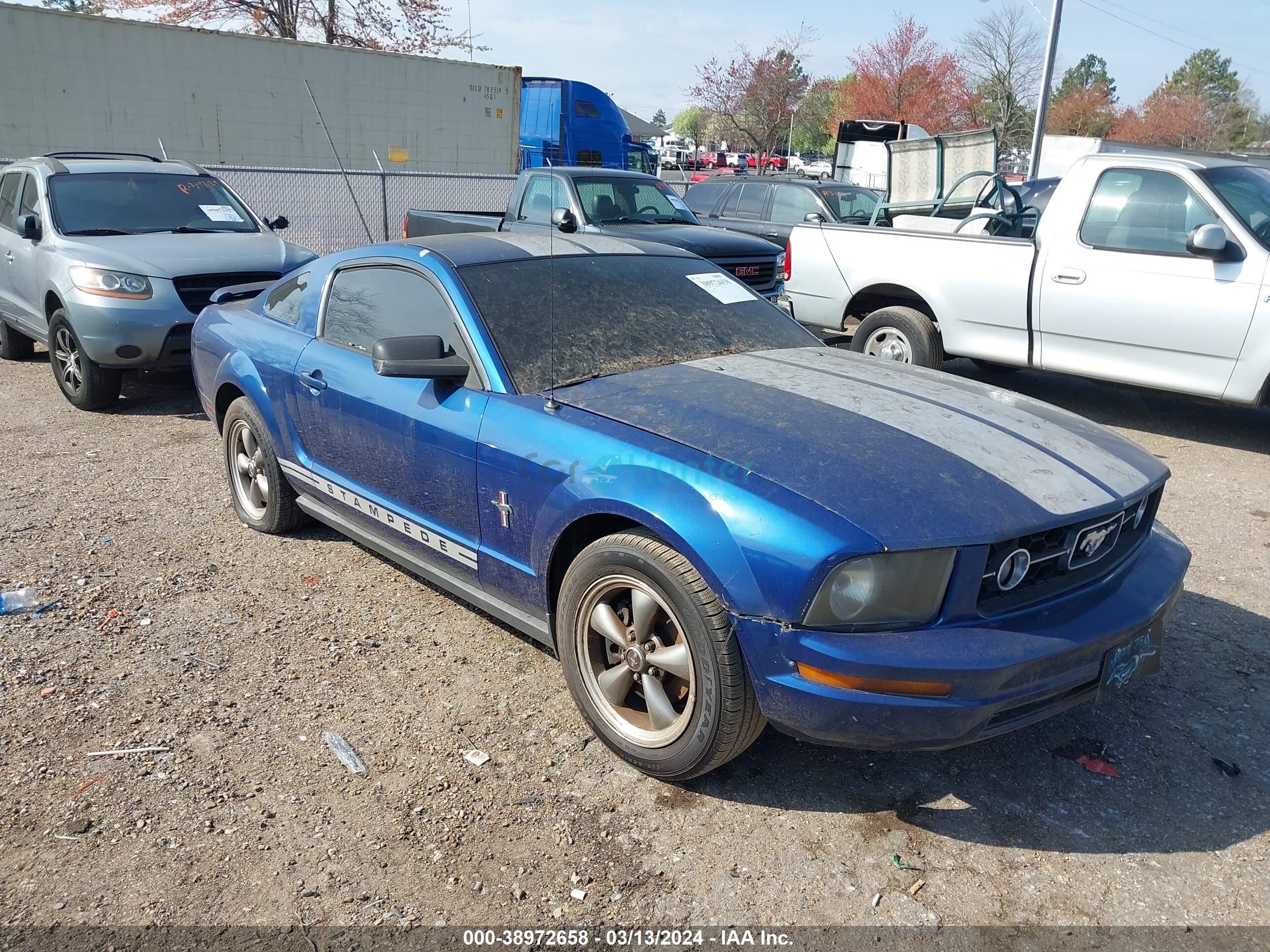 ford mustang 2006 1zvft80n365224545