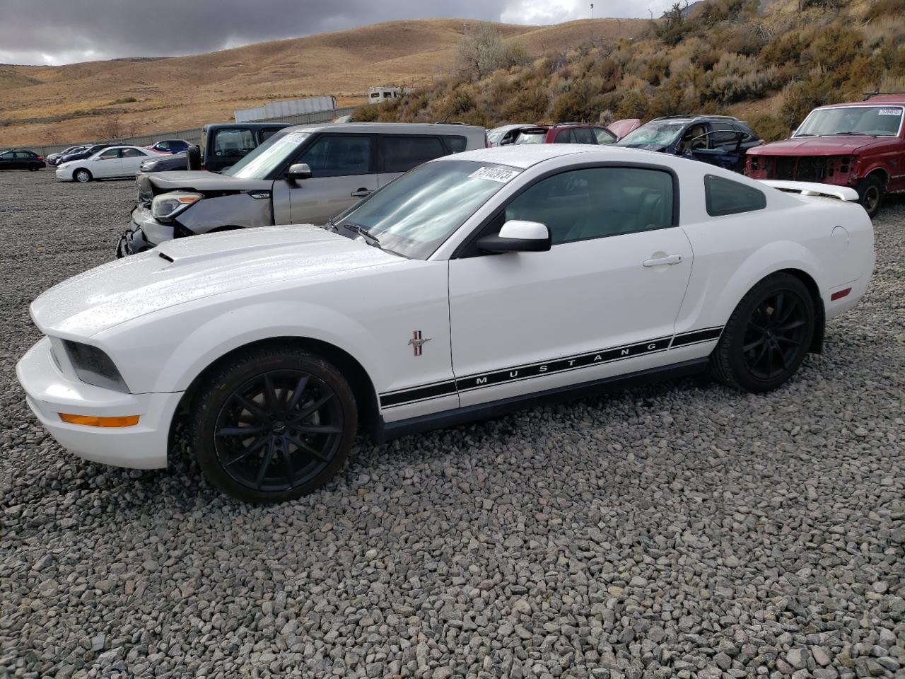 ford mustang 2006 1zvft80n365236551