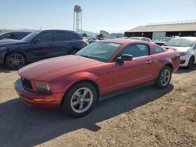 ford mustang 2005 1zvft80n455110813