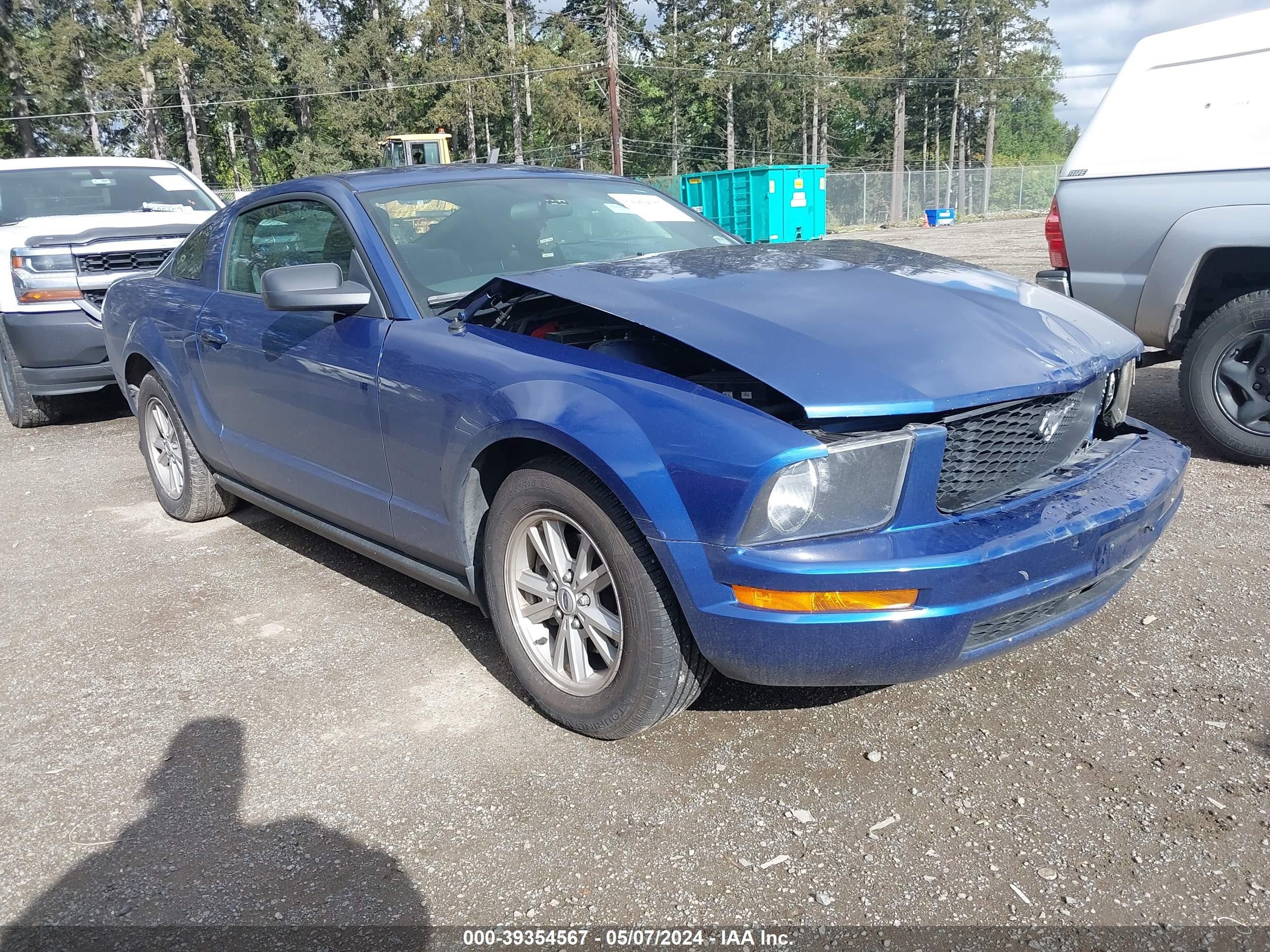 ford mustang 2006 1zvft80n465178501