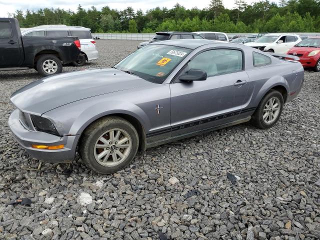 ford mustang 2006 1zvft80n465187134