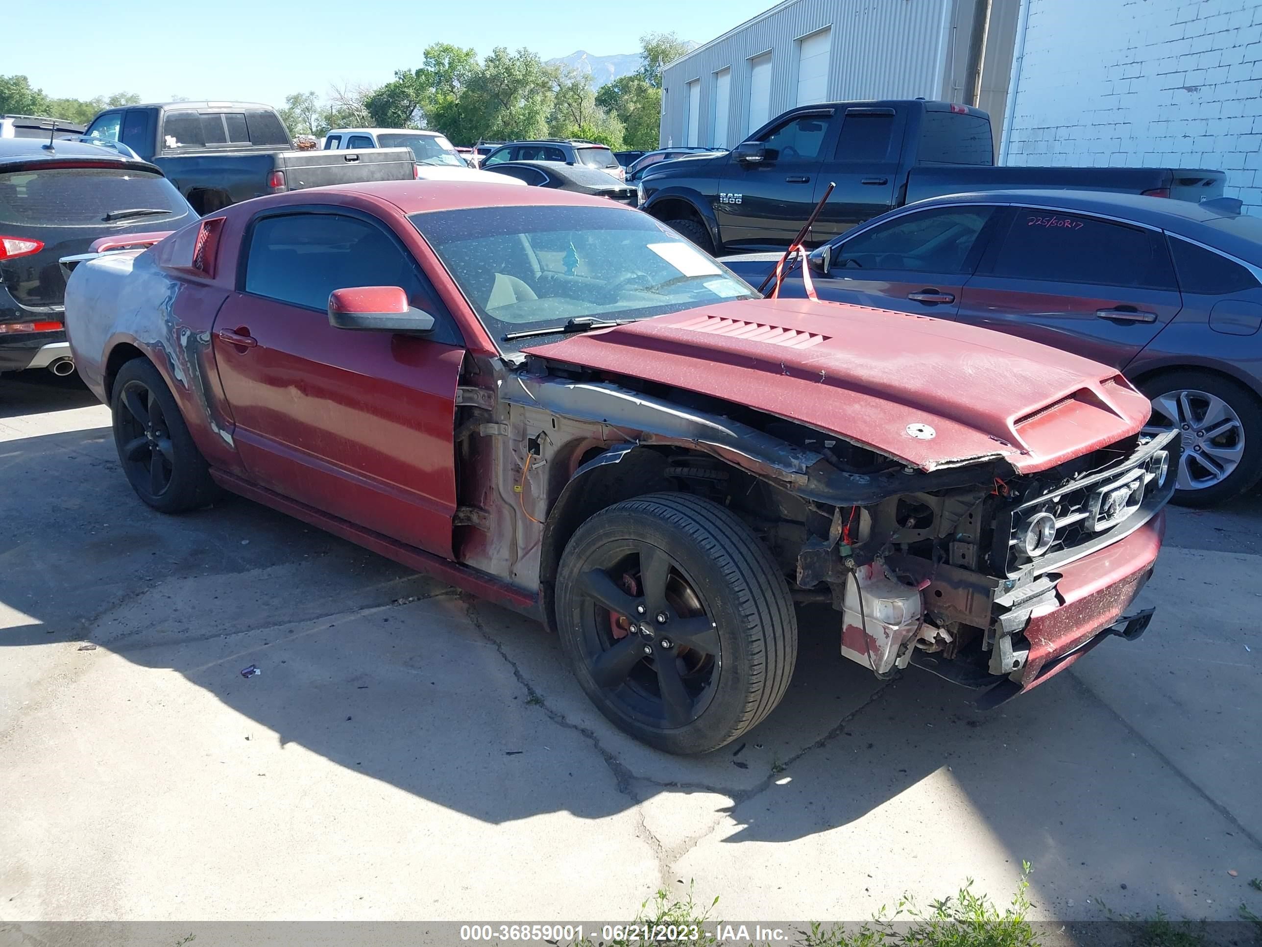 ford mustang 2007 1zvft80n475250637