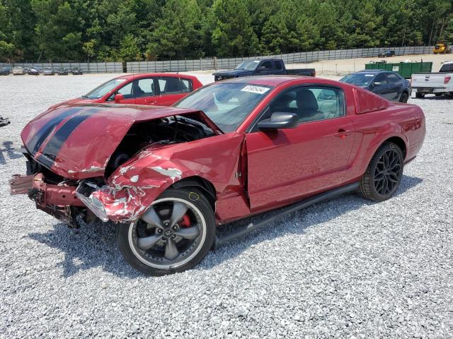 ford mustang 2005 1zvft80n555133257