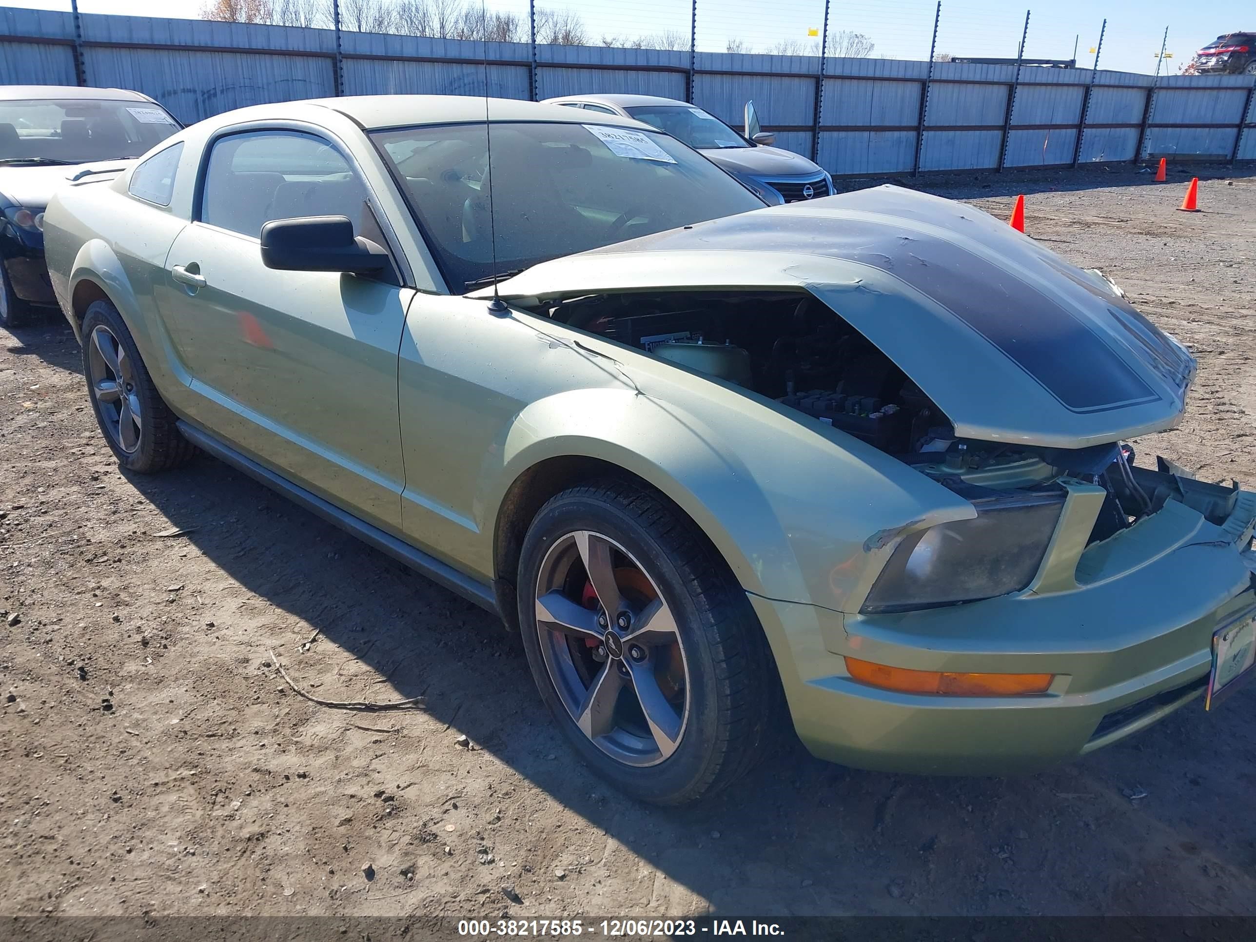 ford mustang 2005 1zvft80n555205042