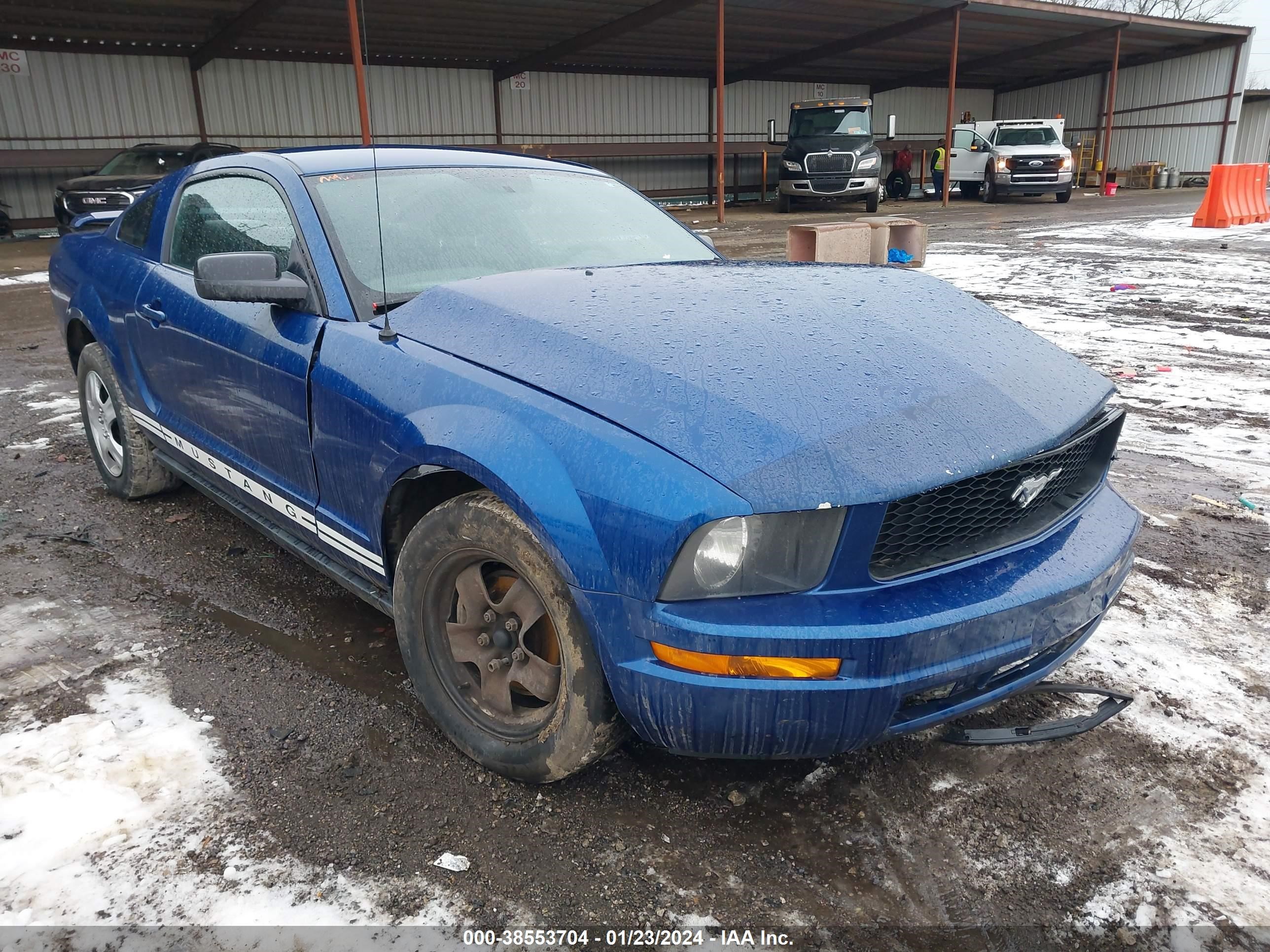 ford mustang 2006 1zvft80n565166910