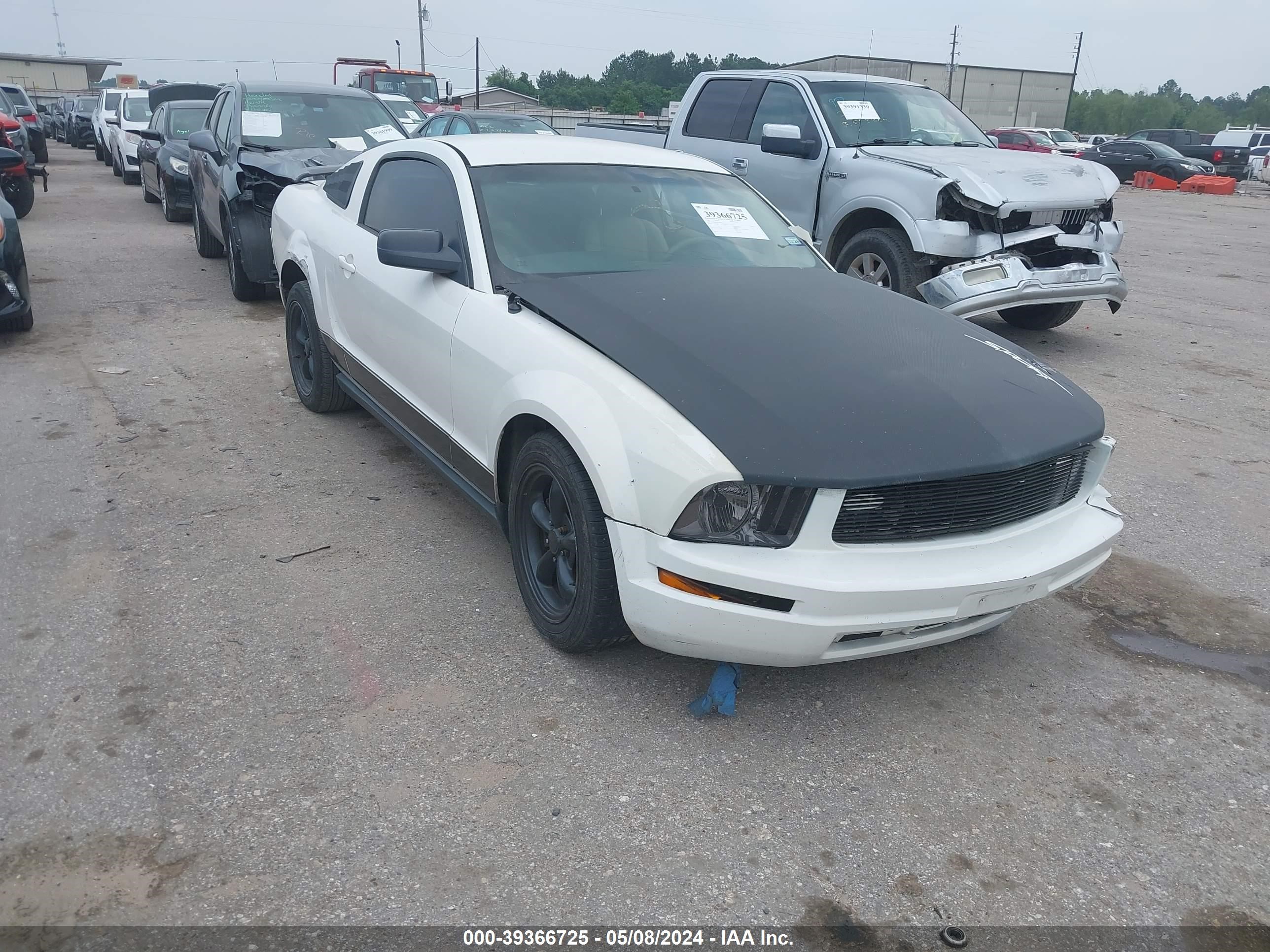ford mustang 2006 1zvft80n565170956
