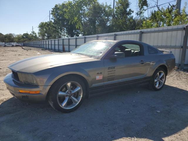 ford mustang 2005 1zvft80n655125412