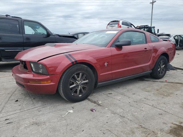 ford mustang 2005 1zvft80n655133591