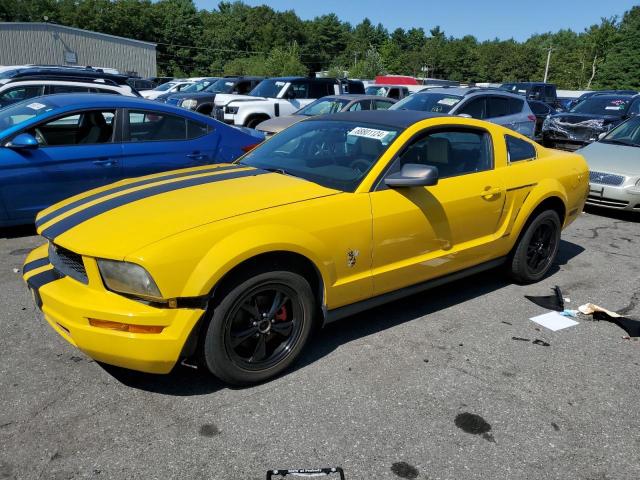 ford mustang 2005 1zvft80n655137835