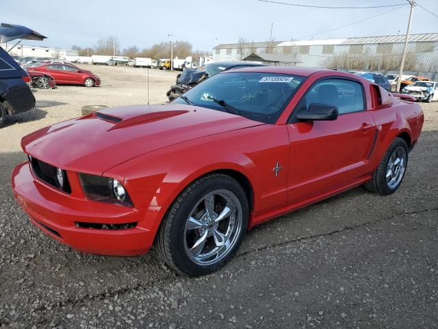 ford mustang 2005 1zvft80n655159642