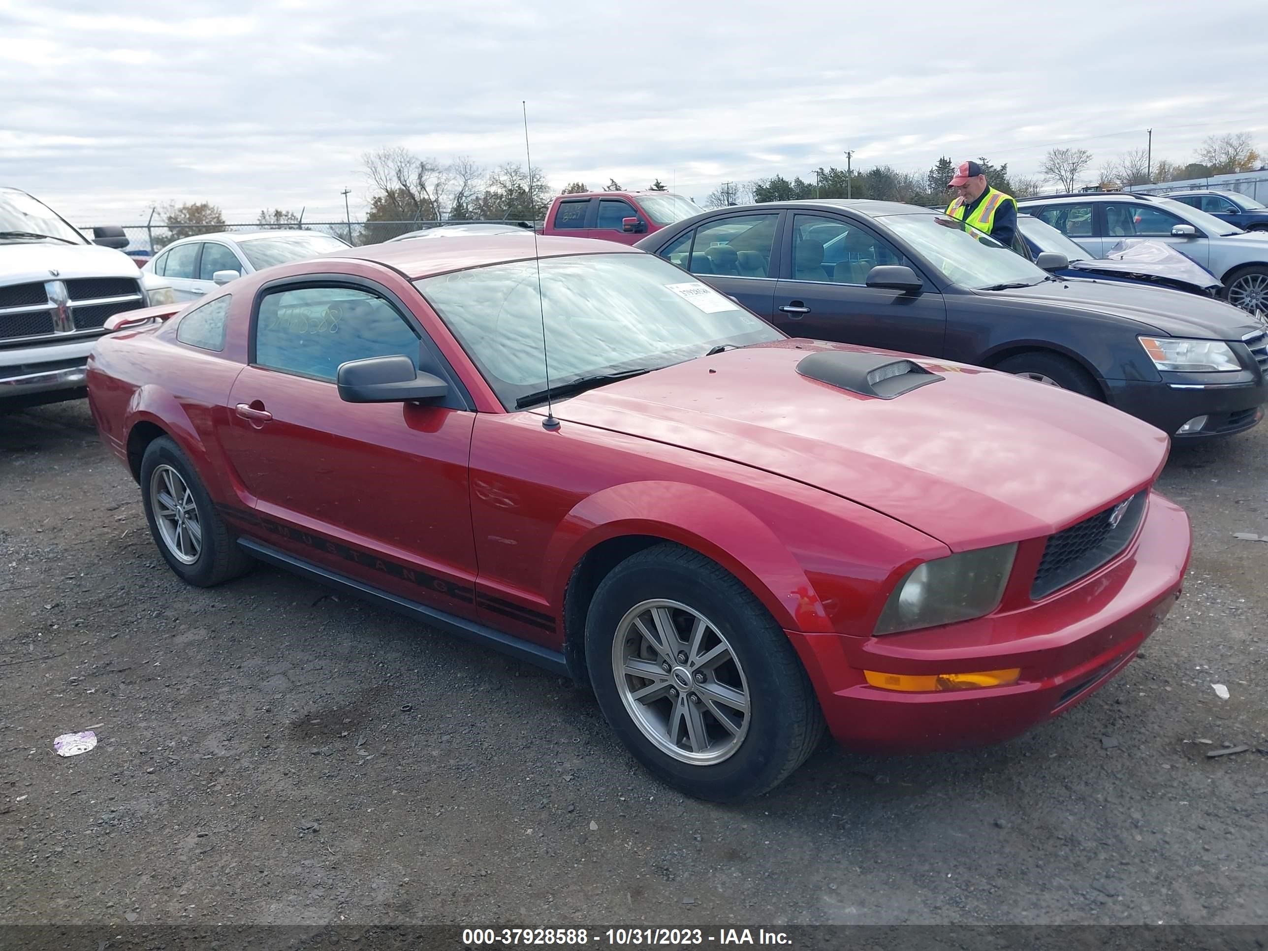 ford mustang 2005 1zvft80n655159768