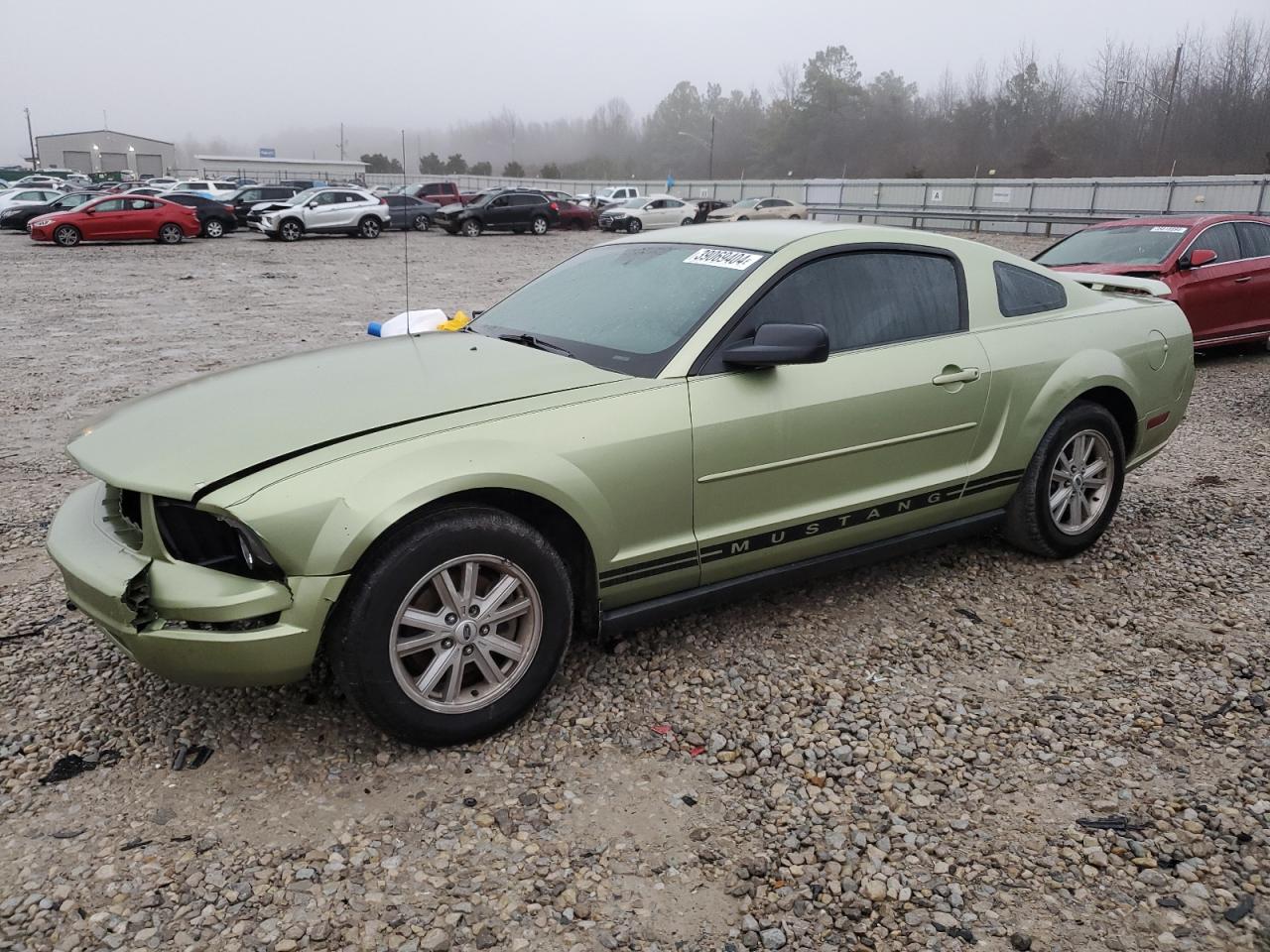 ford mustang 2005 1zvft80n655189272