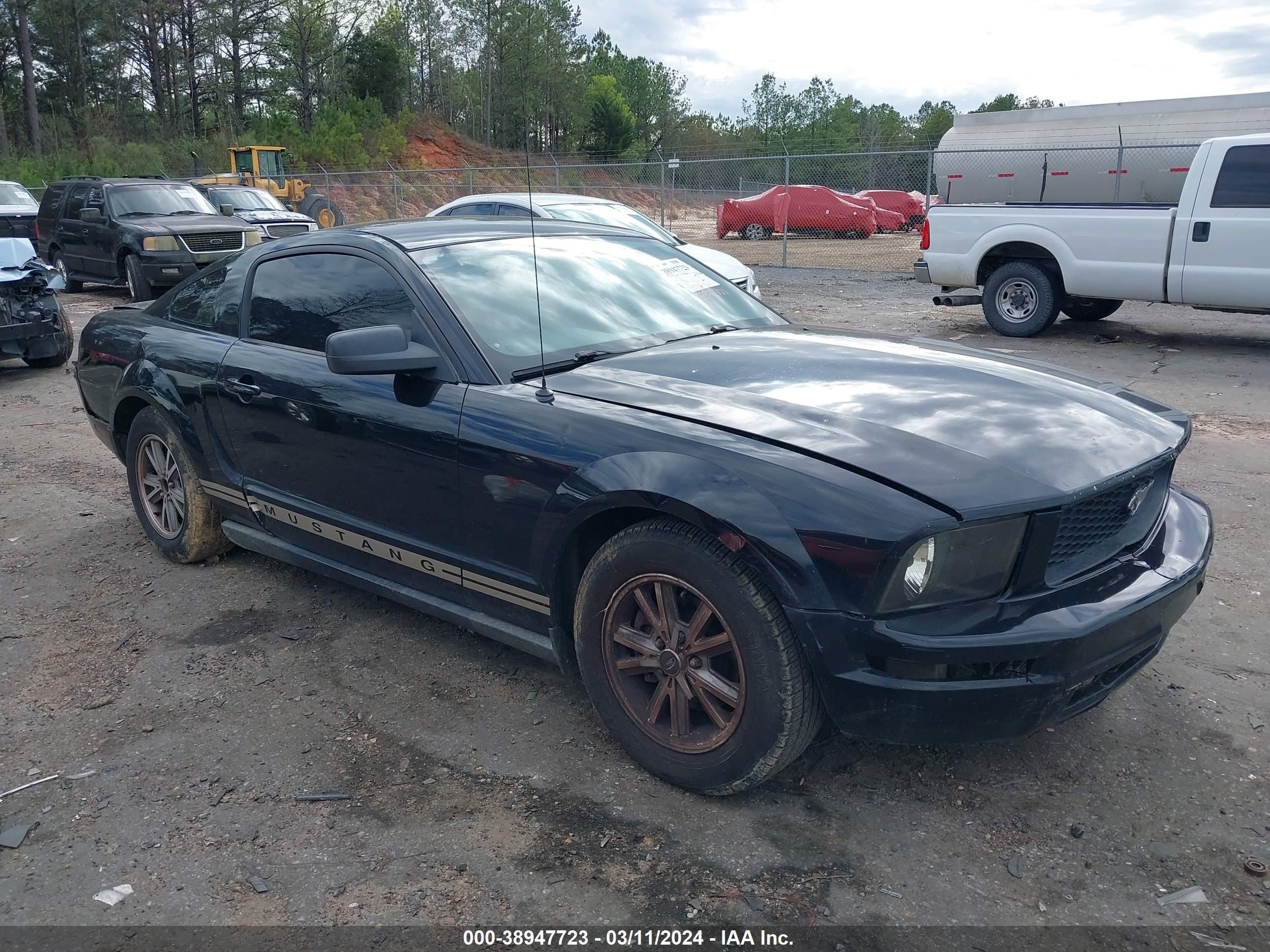 ford mustang 2005 1zvft80n655198845