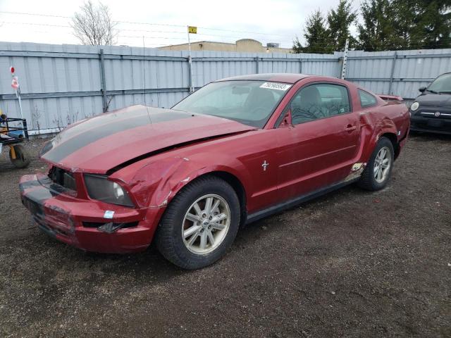 ford mustang 2006 1zvft80n665112211