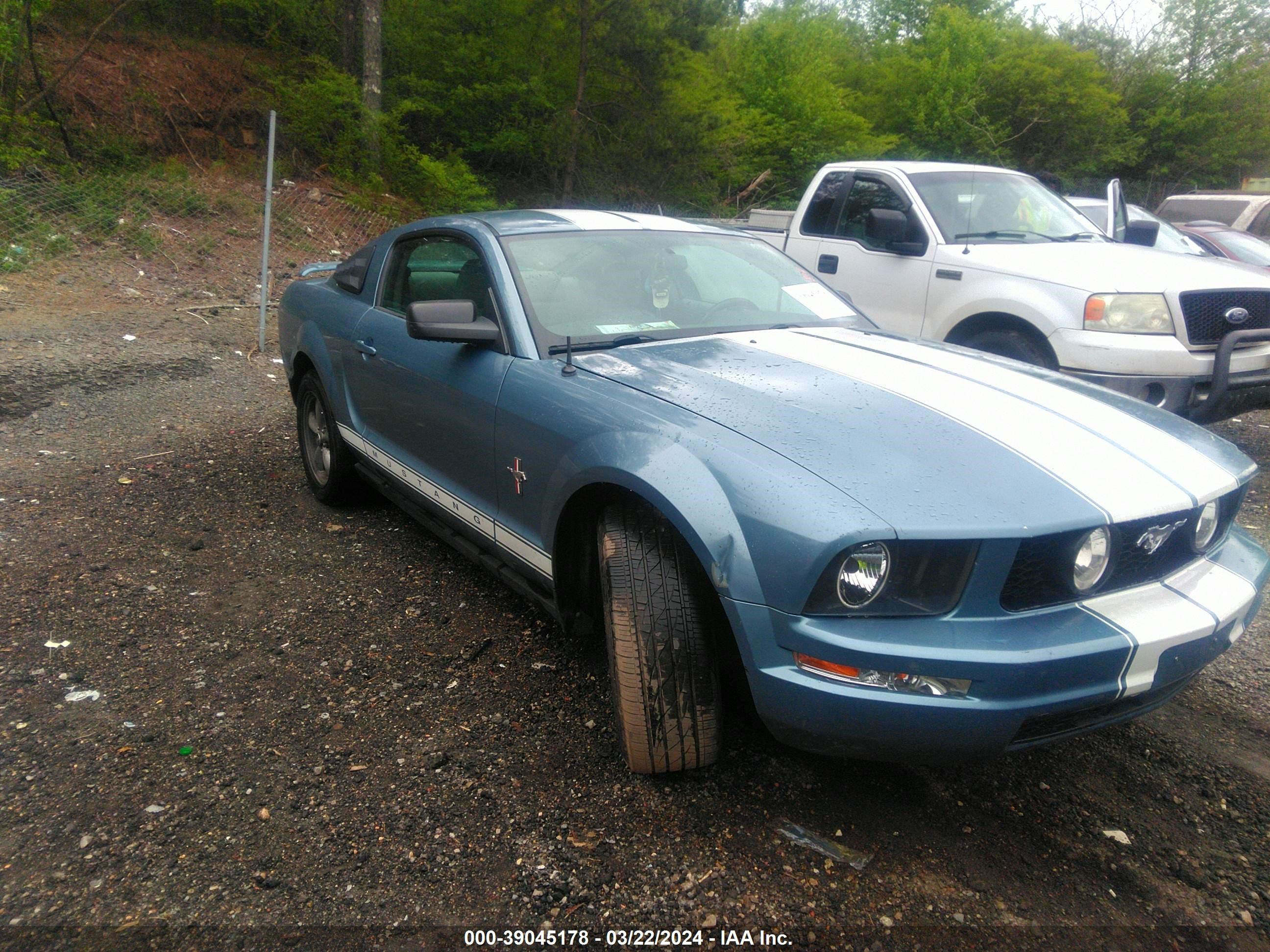 ford mustang 2006 1zvft80n665186812