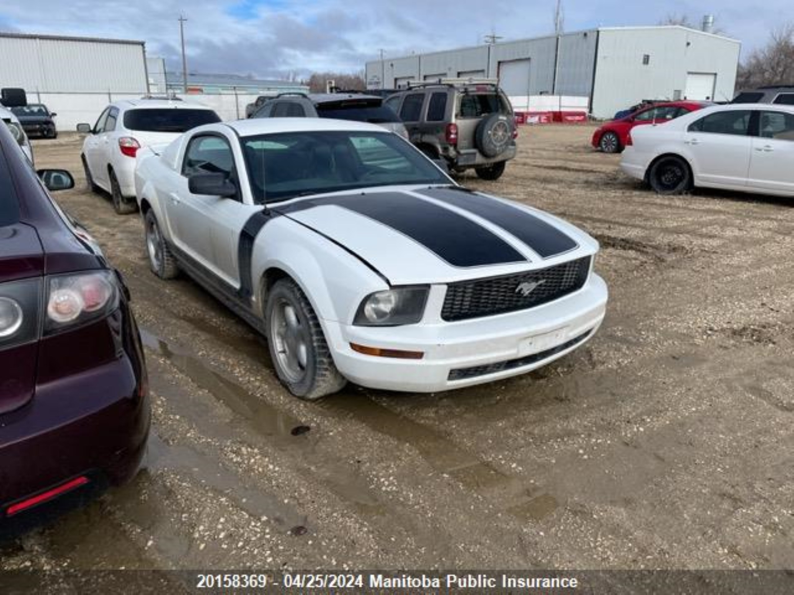 ford mustang 2006 1zvft80n665188026