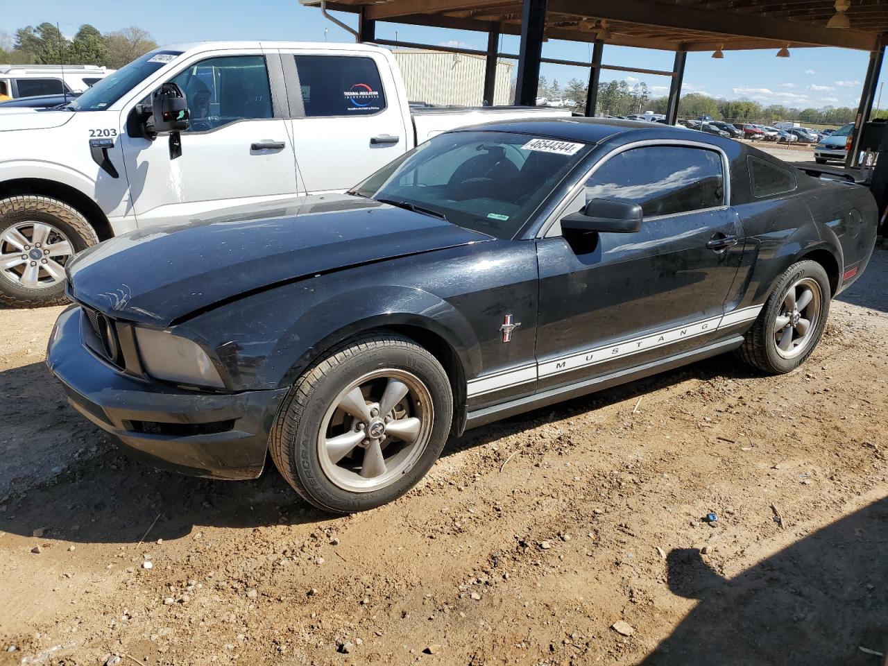 ford mustang 2006 1zvft80n665263792