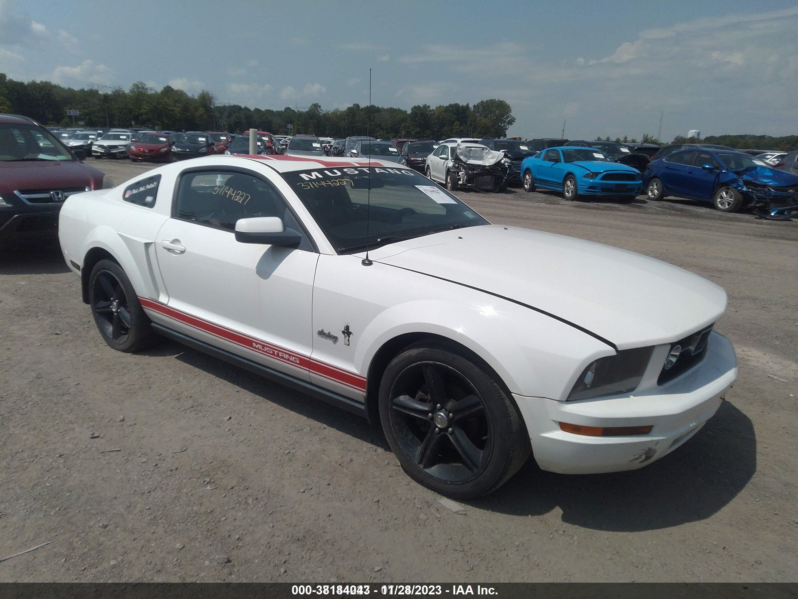 ford mustang 2007 1zvft80n675258173