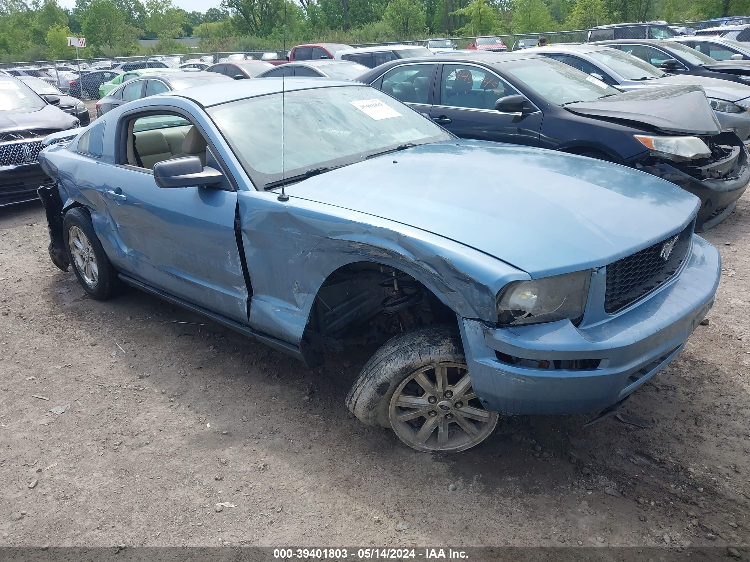 ford mustang 2007 1zvft80n675264460