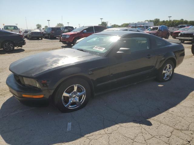 ford mustang 2005 1zvft80n755130666