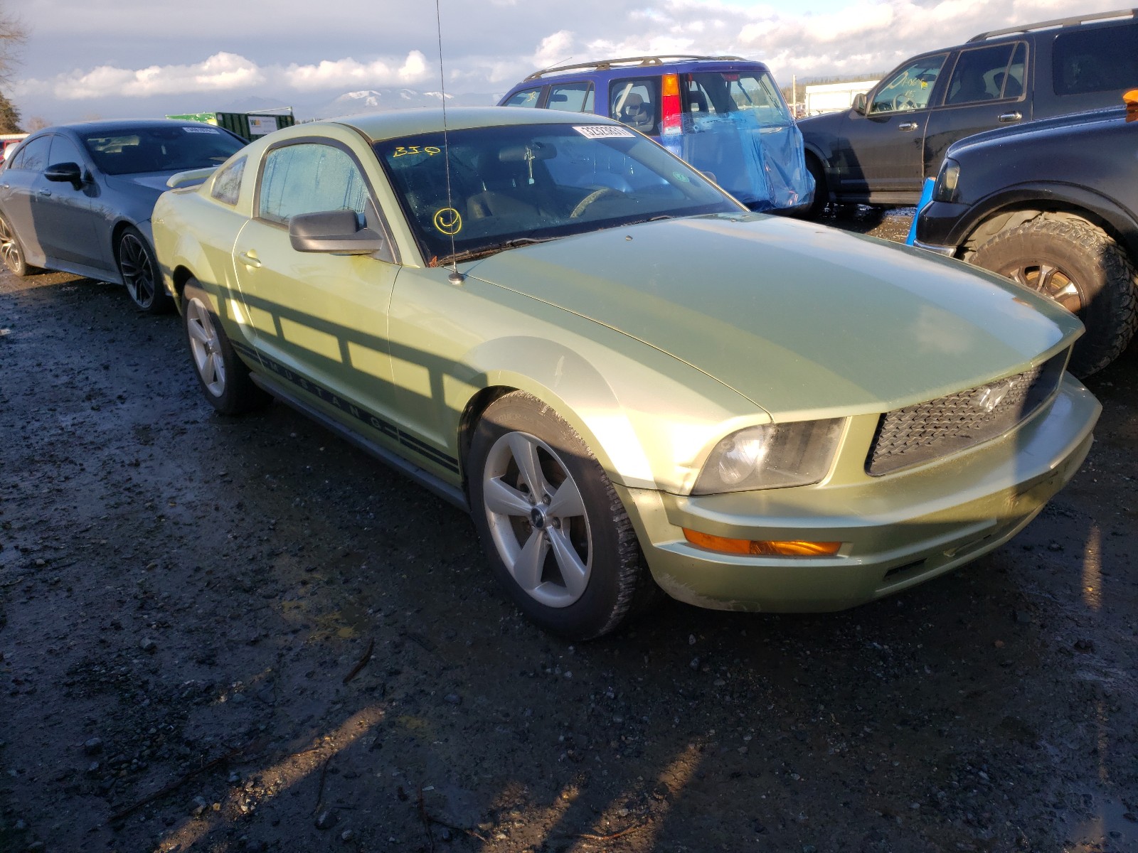 ford mustang 2005 1zvft80n755166583