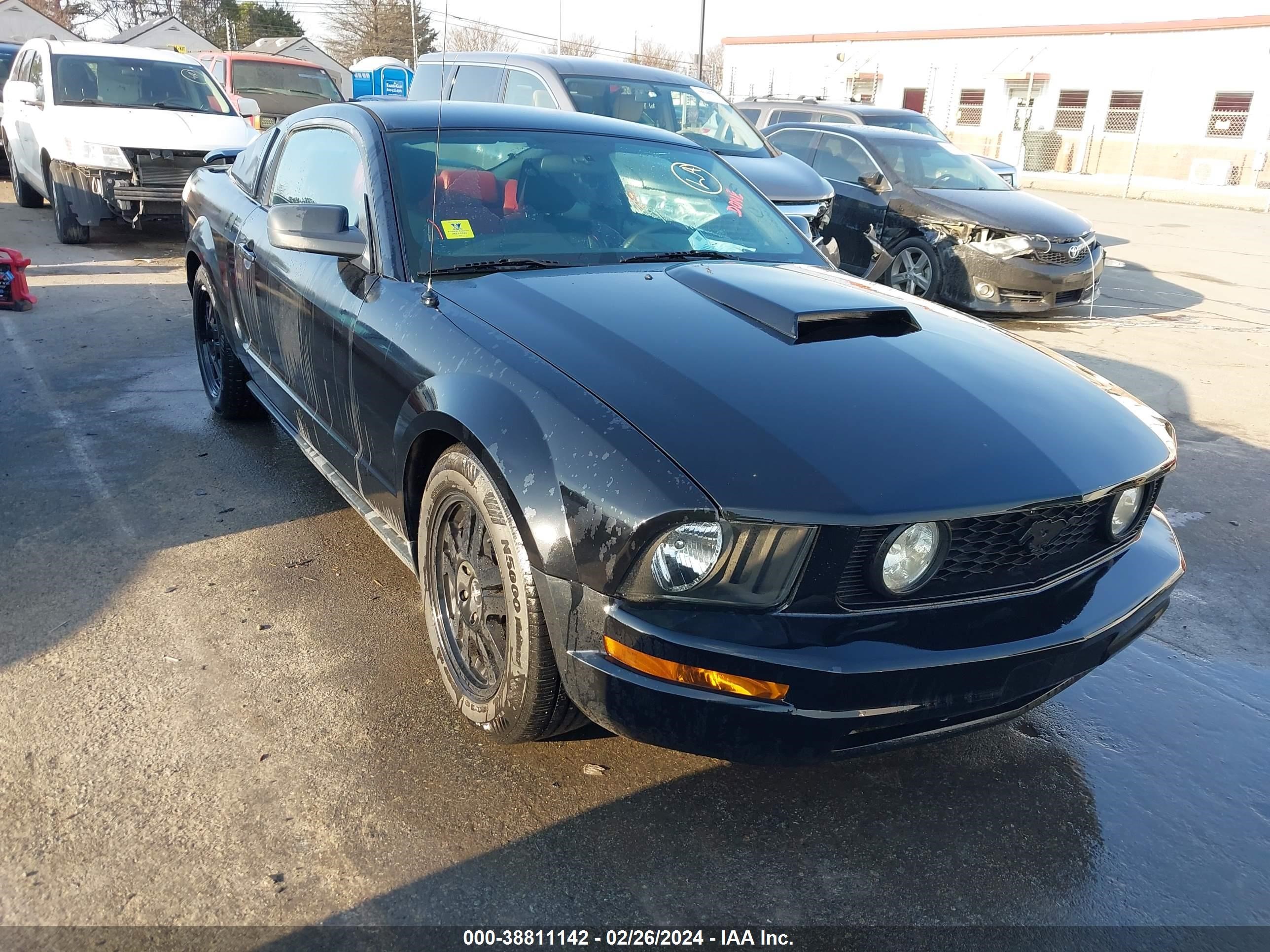 ford mustang 2005 1zvft80n755169600