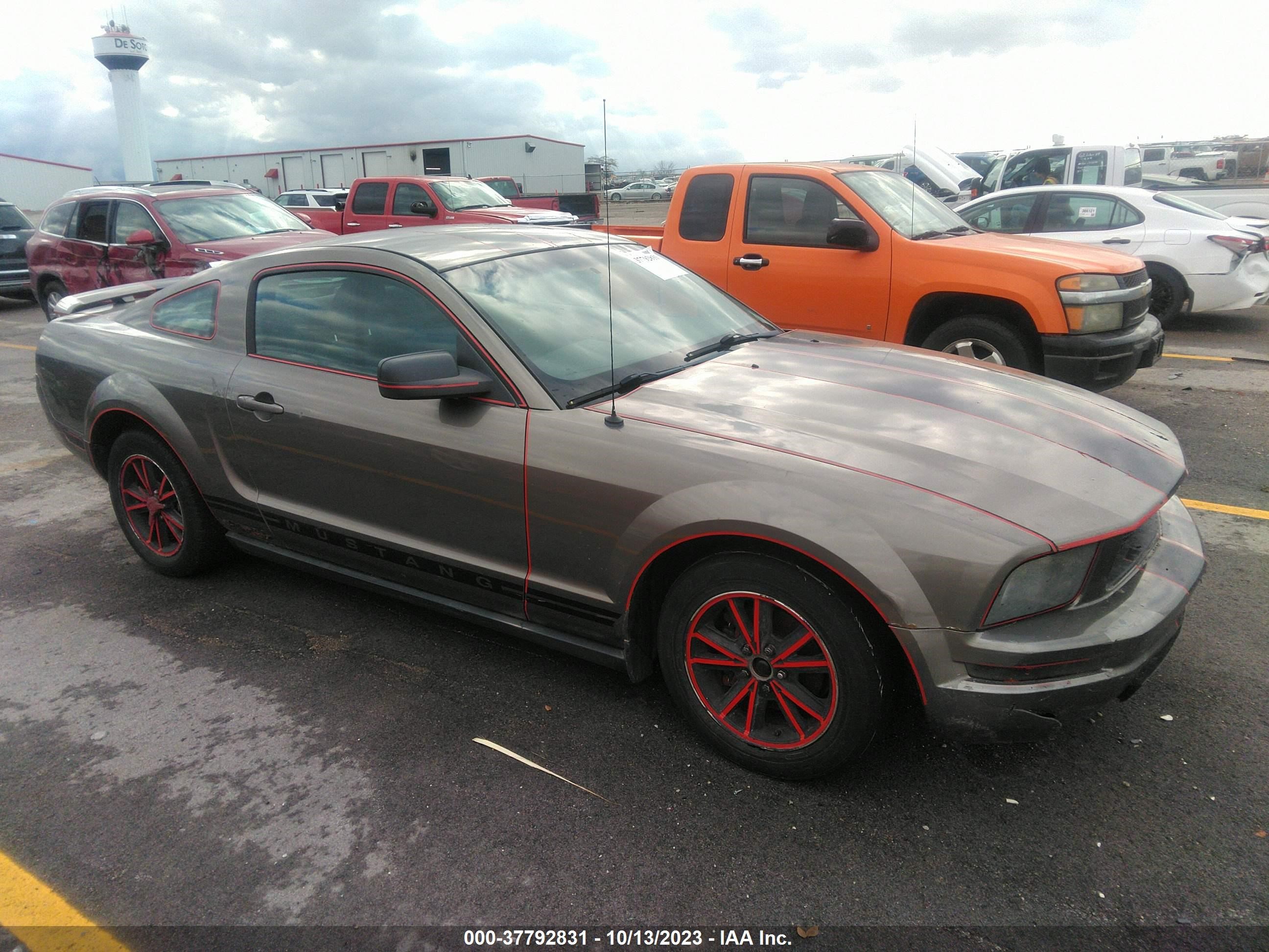 ford mustang 2005 1zvft80n755250516