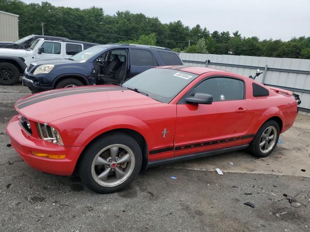 ford mustang 2006 1zvft80n765101816