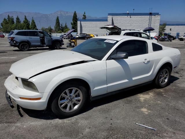 ford mustang 2006 1zvft80n765265373